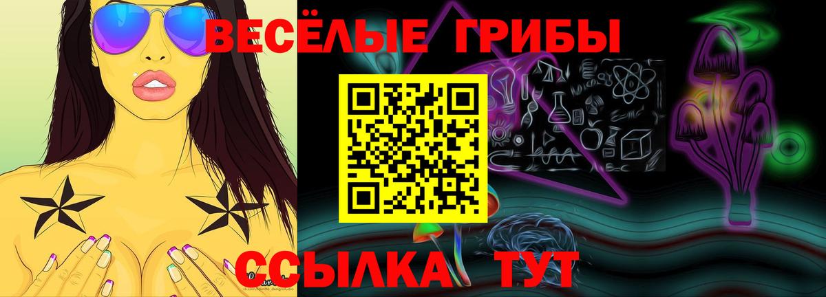 Майский  Галлюциногенные грибы GOLDEN TEACHER  Вход с VPN 